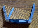 Buck 310 12-4.JPG