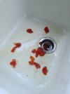 20201206_083645.jpg