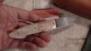 DSC00848.jpg