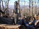 AA Forge - Adam Gray Knife.jpg