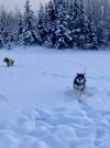 43F74732-8E0D-47BE-B8EE-CD04B990F809.jpeg