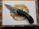 Todd Beg Fiel Marshall Black and Silver 001.JPG