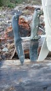 20201128_151221.jpg