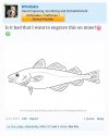 Screenshot_20201217-132055_Chrome~2.jpg