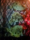 20201217_164510.jpg