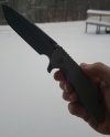IMG_20201217_160303_1.jpg