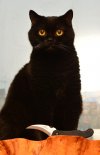 DSC_b5219.jpg