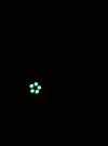 131771079_693176124694992_5750888830367627212_n.jpg