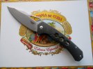 Tempe 4 inch 001.JPG
