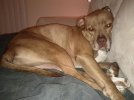 IMG_20111112_223219.jpg