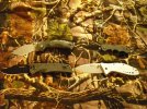 knife lot 3.jpg