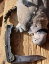 20201224_094852.jpg