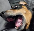 20201224_133347.jpg