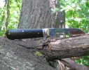 pile.open.woods.jpg