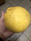 B62571DC-4C1B-4F80-8B1D-554CB268EED8.jpeg