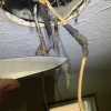 BFDE5969-00F5-498E-AE87-2456AA099D62.jpeg