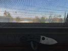 IMG_5365.jpg
