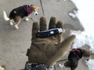 0E421858-7953-43B4-887C-735EC1FACC58.jpeg