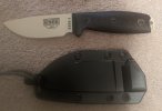 esee_3.jpg