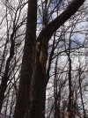 IMG_0031.jpg IMG_0031.jpg