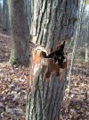 IMG_0032.jpg IMG_0032.jpg