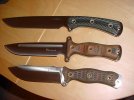 3 Busse.jpg