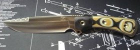 SAR6.jpg