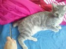 2011-11-24_13.19.34.jpg