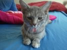 2011-11-24_13.18.34.jpg