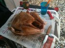 turkeybefore.jpg
