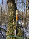 Puukko - 1.jpeg