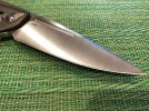 DISKIN_IDF (5)A.JPG DISKIN_IDF (5)A.JPG