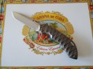 Olamic Wayfarer red scolloped M390 001.JPG