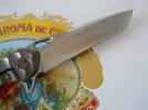 Olamic Wayfarer red scolloped M390 007.JPG
