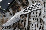 Falcon WWW 001.jpg