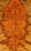 Amboyna Burl with Contrast.jpg Amboyna Burl with Contrast.jpg