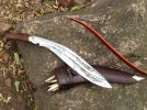 pointy 2.jpg