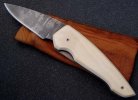 ivory1.jpg