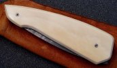 ivory2.jpg