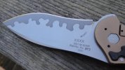 DSC01365.jpg