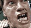 ahnold.jpg