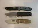 GSO4 and ESEE.jpg