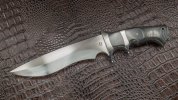 040320-1.jpg