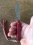 IMG_6665.jpg IMG_6665.jpg