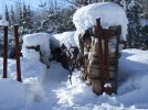 DSCF3997 WOODPILE SNOW 650 MED.jpg