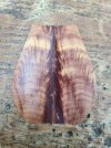 eastern red cedar.jpg