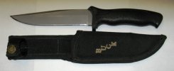 IMG_1883Buck650.jpg