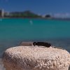 DSC_3405.jpg