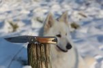 resized-IMG_8398.JPG