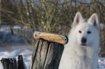 resized-IMG_8404.JPG